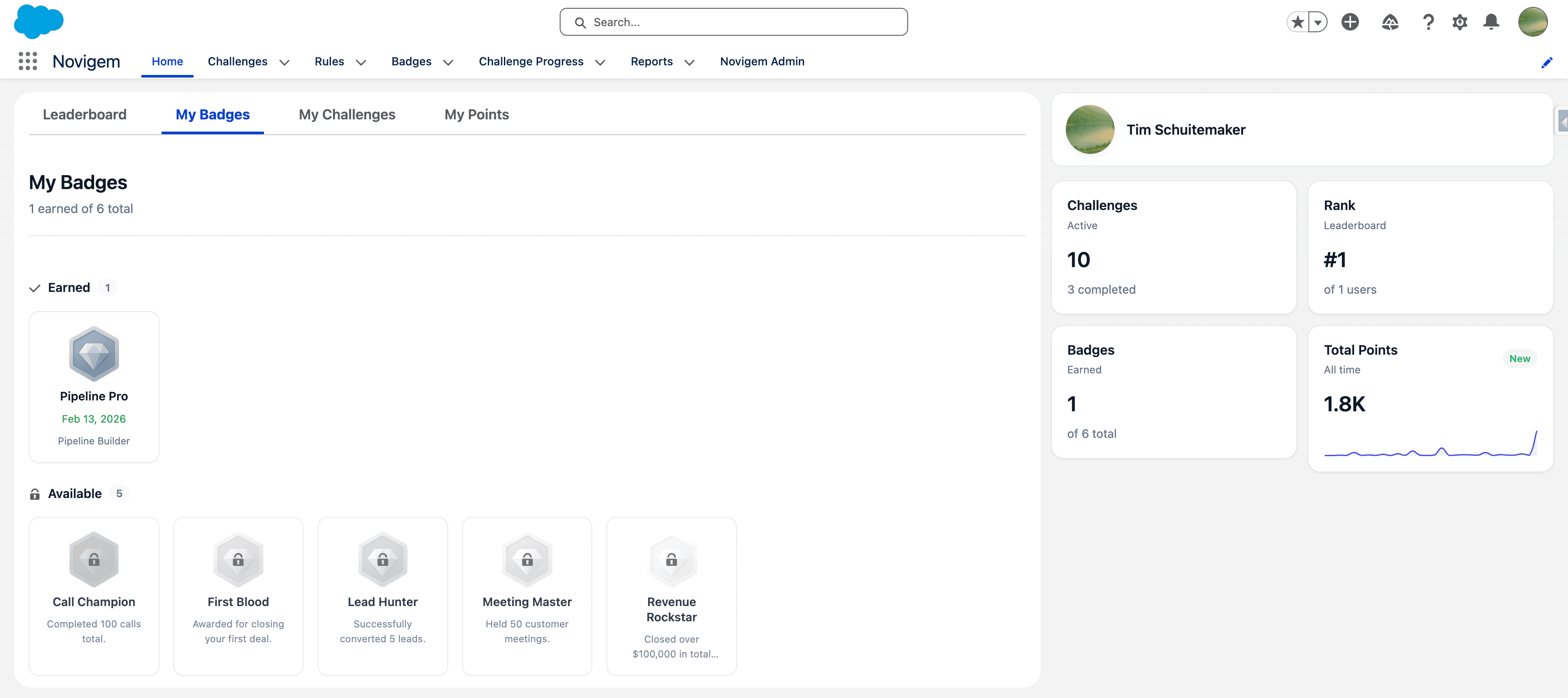 Rep view showing earned badges, leaderboard rank, and total points